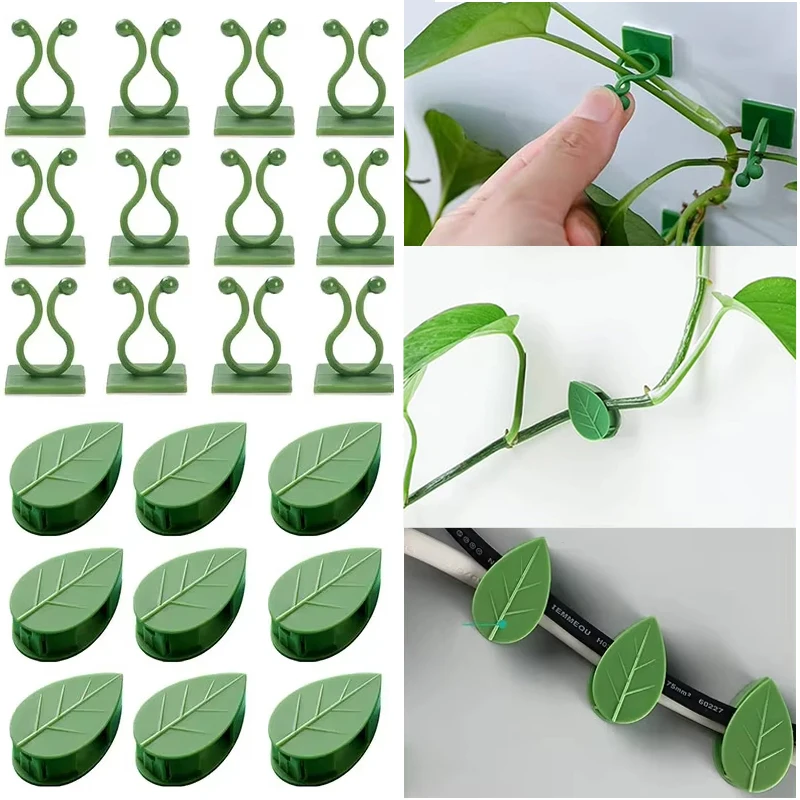 Invisible Plant Climbing Wall  - Woodworking Glue recension och pris