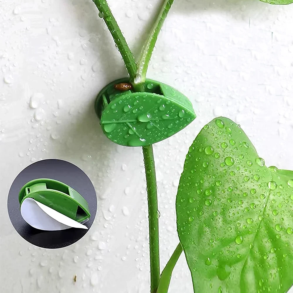 Invisible Plant Climbing Wall  - Woodworking Glue recension och pris
