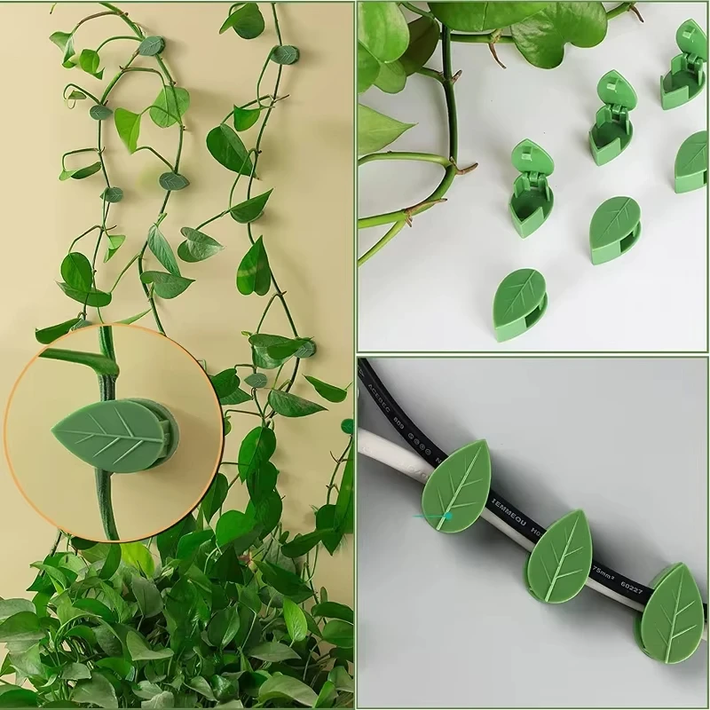 Invisible Plant Climbing Wall  - Woodworking Glue recension och pris